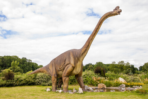 El Diplodocus es uno de los dinosaurios herbívoros