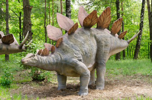 Dinosaurios herbívoros: Stegosaurus