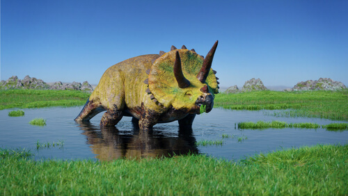 Dinosaurios herbívoros: tricerátops