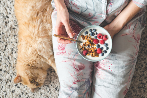 Frutas que pueden comer los gatos: arándanos