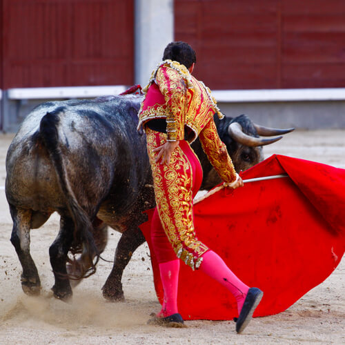 Por qué los toros van al capote