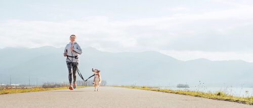 Beneficios de practicar running con tu perro