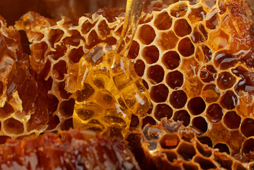 Recolección de la miel de abeja