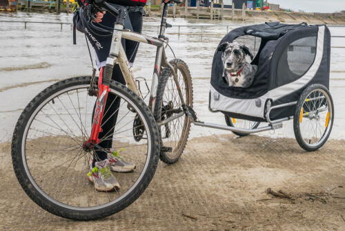 Remolque de bicicleta para perros