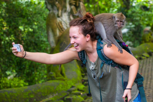 Los selfies con macacos, ¿qué hay detrás?