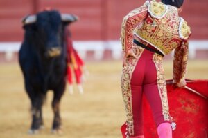 ¿Es verdad que los toros odian el color rojo?