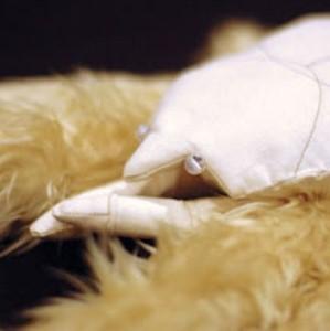 Cangrejo yeti: bacteria