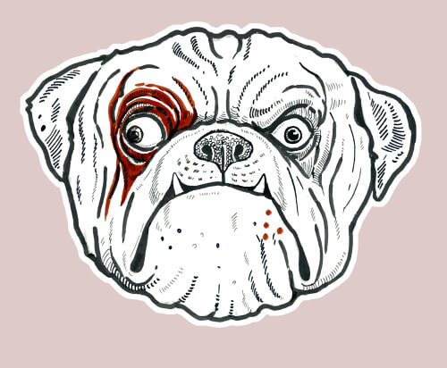 Cómo dibujar a tu perro