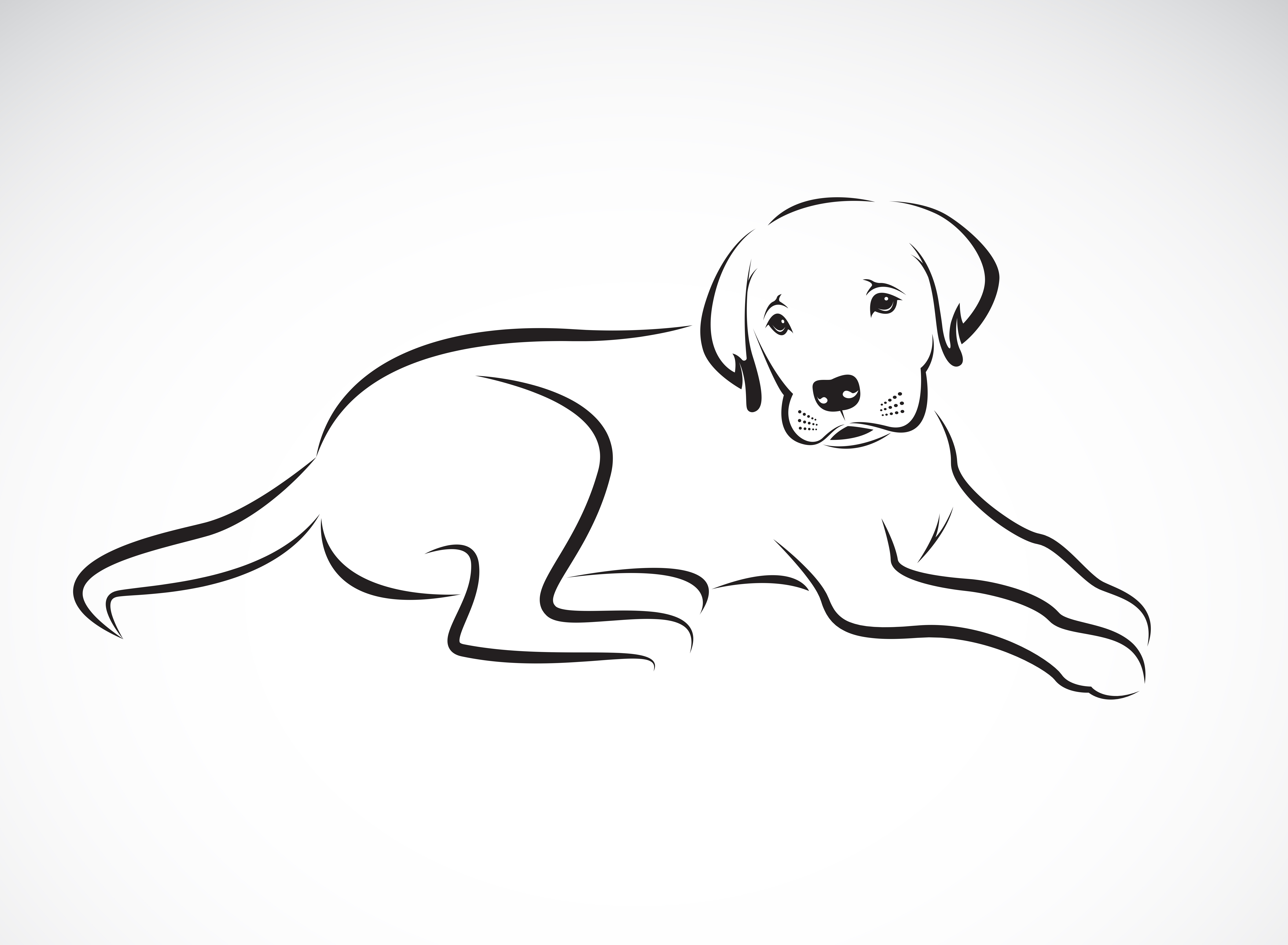 Cómo pintar a tu perro