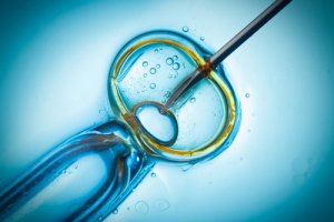 Embriones de laboratorio para salvar especies protegidas