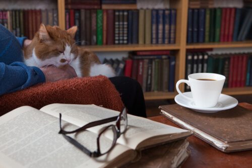 Escritores que tienen gatos