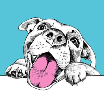 ¿Cómo dibujar una viñeta de tu mascota?