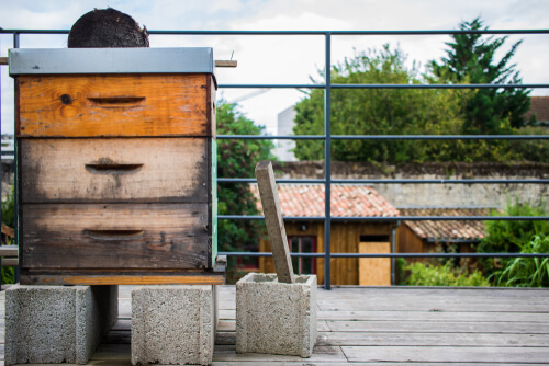 Cómo hacer una colmena de abejas casera