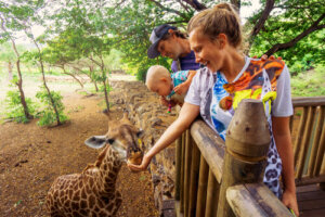 ¿Es peligroso dar comida a los animales en el zoo?