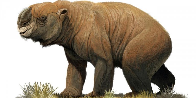 La megafauna extinta de Australia