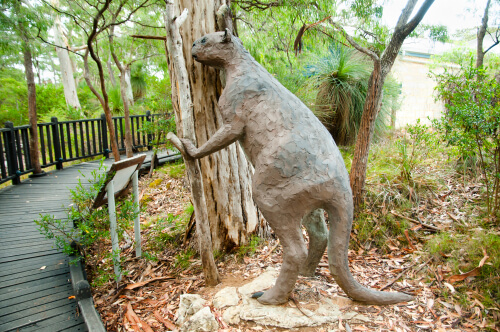 Megafauna: procoptodon