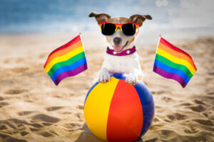 ¿Es posible que los perros sean homosexuales?