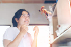 ¿Por qué vuelan las cucarachas?