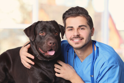 A cuánto ascienden las cuentas veterinarias