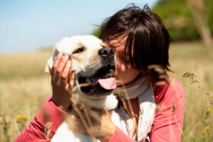Beneficios de abrazar a tu mascota: ¿es bueno para tu salud?