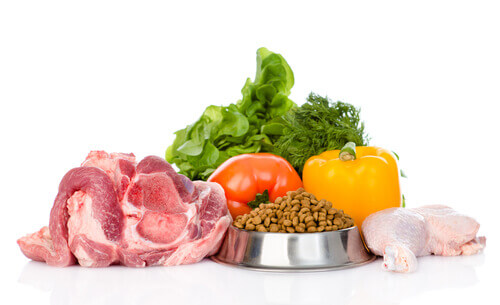 Alimentos orgánicos para mascotas