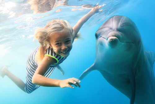 Beneficios de los delfines en los niños