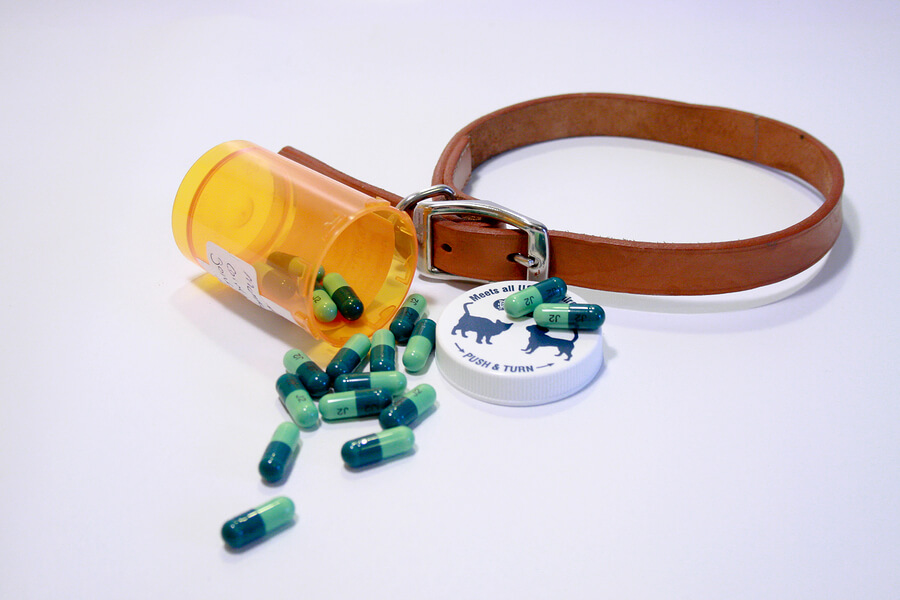 Los medicamentos humanos pueden ser letales para los perros.