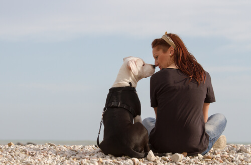 El olfato del perro utilizado para detectar el cáncer de mama