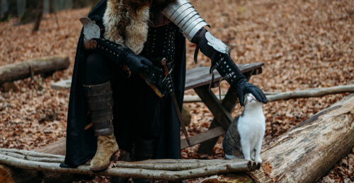 The domestic cat in the Middle Ages.