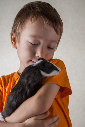 Niño con conejillo de indias