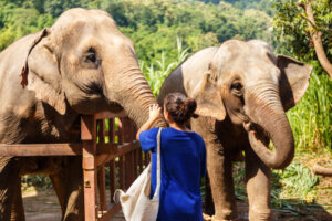 Cómo saber si un santuario de fauna es falso