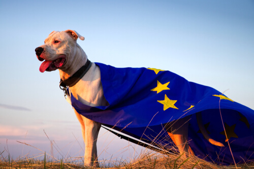 El bienestar animal en la Unión Europea
