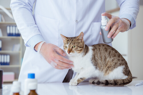Sprays antiparasitarios para gatos