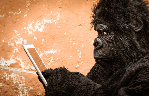 Evolución convergente represantada con un primate usando una tablet