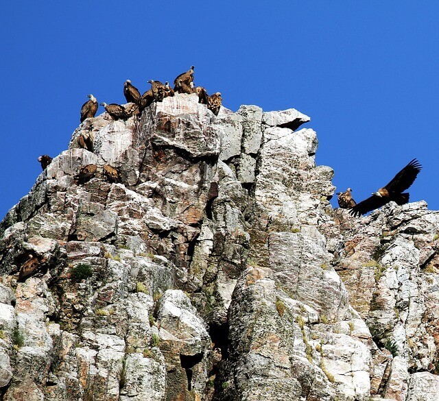Parque nacional de Monfragüe