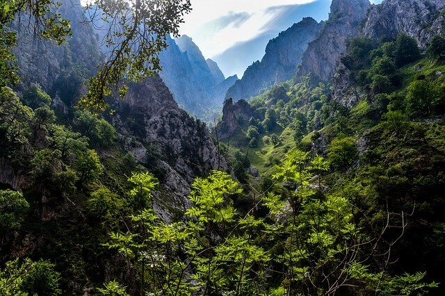 Parques naturales de España: Picos de Europa
