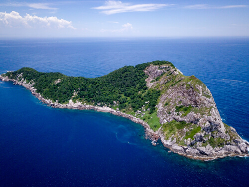 Quemada grande: isla de las serpientes
