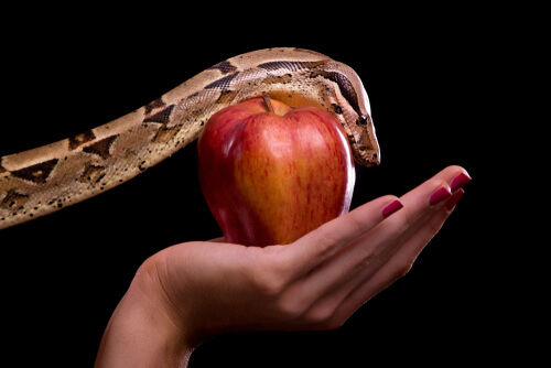 Representación de la serpiente y la manzana de Adán y Eva