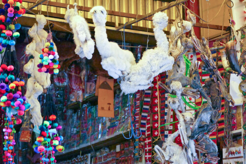 El armadillo andino es usado para hacer amuletos