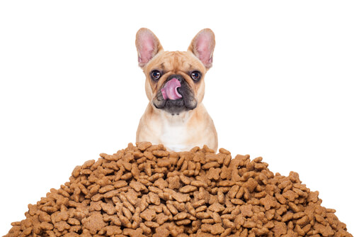Cómo calcular mejor las porciones de comida de tu perro