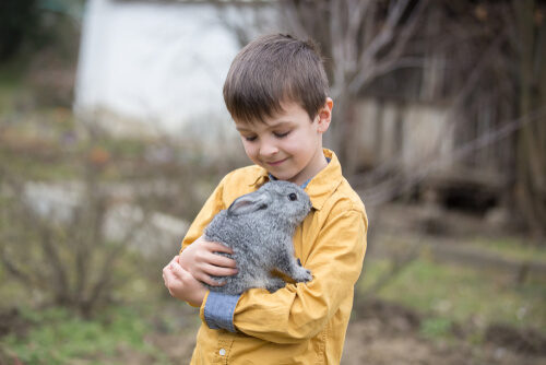Niño y conejo