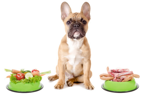 Alimentación del bulldog francés