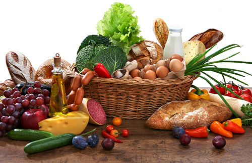 Alimentos con nutrientes para cachorros