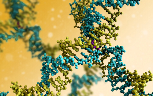 Composición molecular