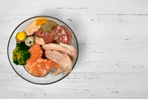 Dieta en perros con salmón