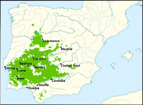 Distribución de la dehesa en España