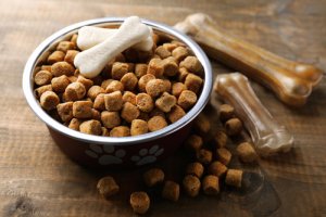Comida seca para perros: 4 razones para evitarla