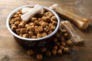 4 razas de perros que siempre tienen hambre