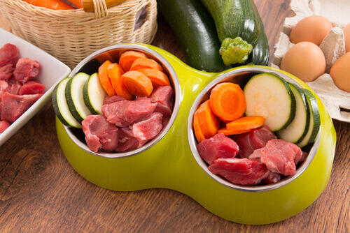 Dieta BARF para perros