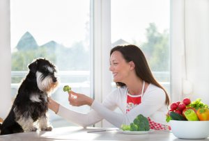 ¿Pueden los perros comer vegetales?
